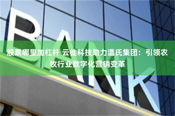 股票哪里加杠杆 云徙科技助力温氏集团：引领农牧行业数字化营销变革