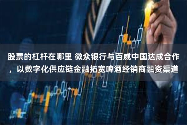 股票的杠杆在哪里 微众银行与百威中国达成合作，以数字化供应链金融拓宽啤酒经销商融资渠道