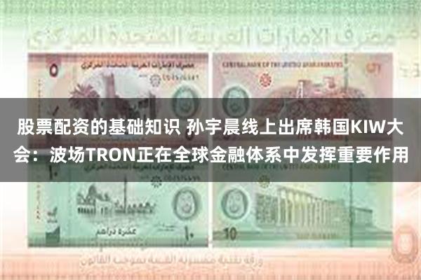 股票配资的基础知识 孙宇晨线上出席韩国KIW大会：波场TRON正在全球金融体系中发挥重要作用