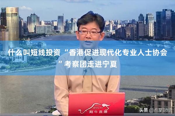什么叫短线投资 “香港促进现代化专业人士协会”考察团走进宁夏