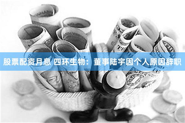 股票配资月息 四环生物：董事陆宇因个人原因辞职