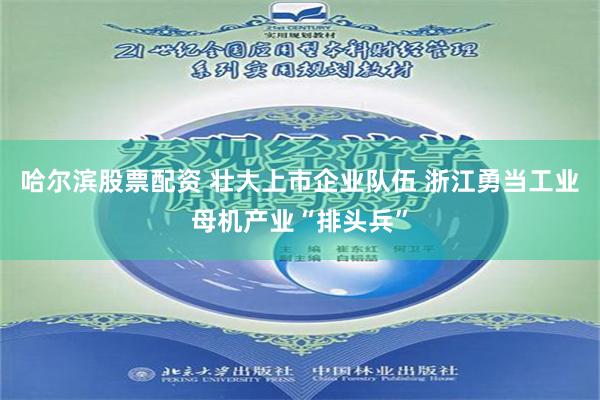 哈尔滨股票配资 壮大上市企业队伍 浙江勇当工业母机产业“排头兵”