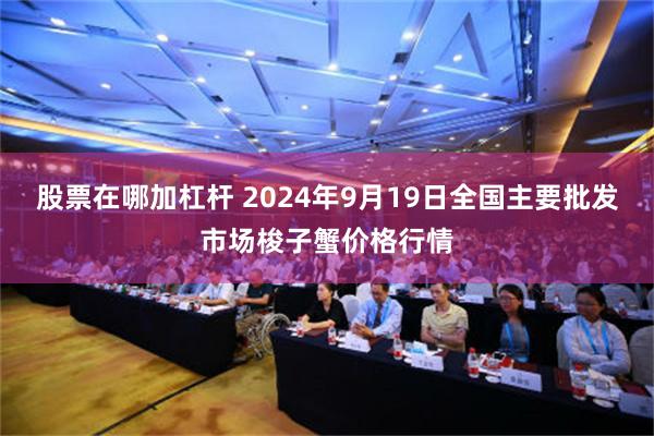 股票在哪加杠杆 2024年9月19日全国主要批发市场梭子蟹价格行情
