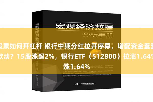 股票如何开杠杆 银行中期分红拉开序幕，增配资金蠢蠢欲动？15股涨超2%，银行ETF（512800）拉涨1.64%