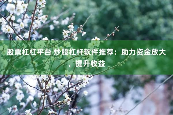 股票杠杠平台 炒股杠杆软件推荐：助力资金放大，提升收益