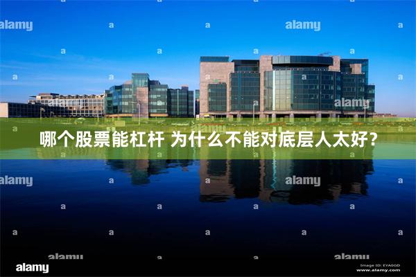 哪个股票能杠杆 为什么不能对底层人太好？
