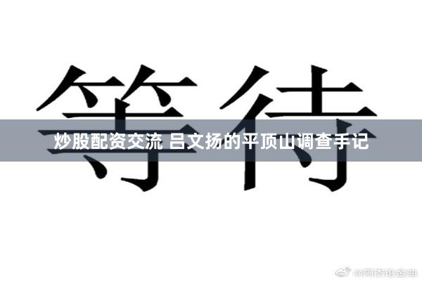 炒股配资交流 吕文扬的平顶山调查手记