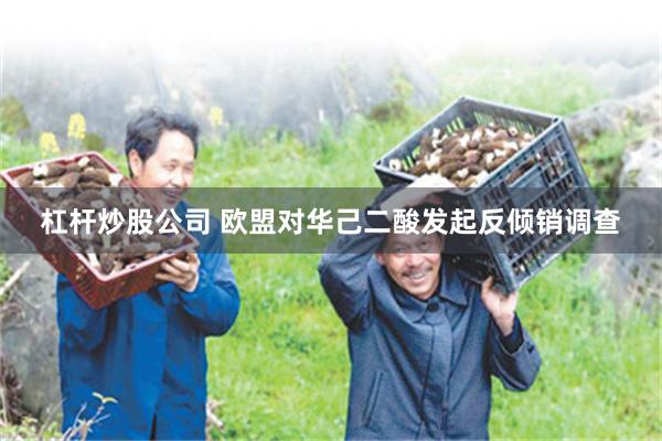 杠杆炒股公司 欧盟对华己二酸发起反倾销调查