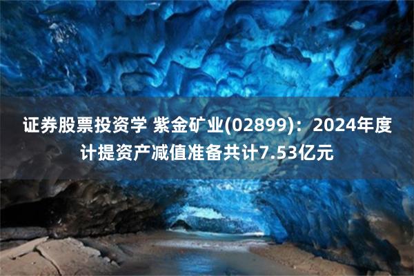 证券股票投资学 紫金矿业(02899)：2024年度计提资产减值准备共计7.53亿元