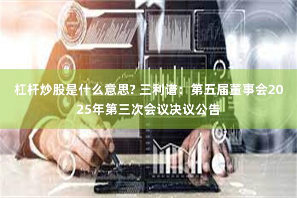 杠杆炒股是什么意思? 三利谱：第五届董事会2025年第三次会议决议公告