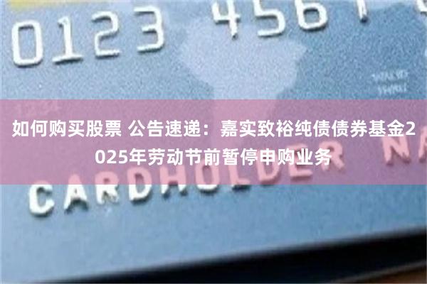 如何购买股票 公告速递：嘉实致裕纯债债券基金2025年劳动节前暂停申购业务