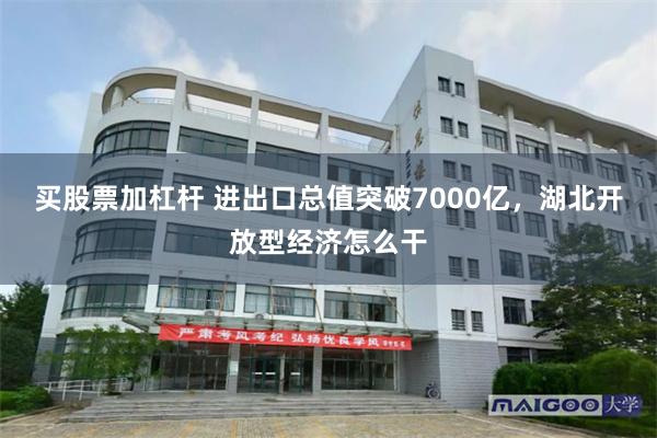 买股票加杠杆 进出口总值突破7000亿，湖北开放型经济怎么干