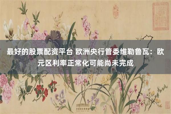 最好的股票配资平台 欧洲央行管委维勒鲁瓦：欧元区利率正常化可能尚未完成