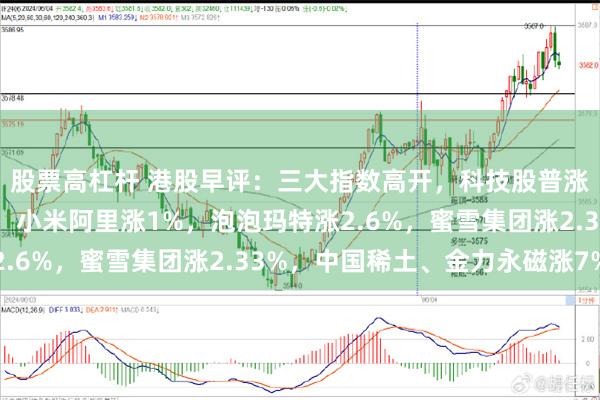 股票高杠杆 港股早评：三大指数高开，科技股普涨，新消费概念股活跃！小米阿里涨1%，泡泡玛特涨2.6%，蜜雪集团涨2.33%，中国稀土、金力永磁涨7%