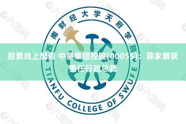 股票线上配资 中星集团控股(00055)：薛家麟获委任行政总裁