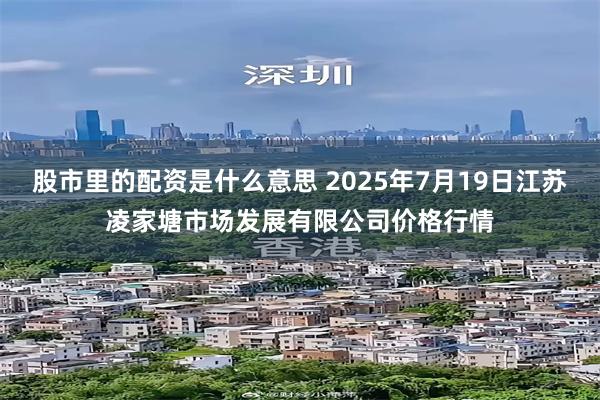 股市里的配资是什么意思 2025年7月19日江苏凌家塘市场发展有限公司价格行情