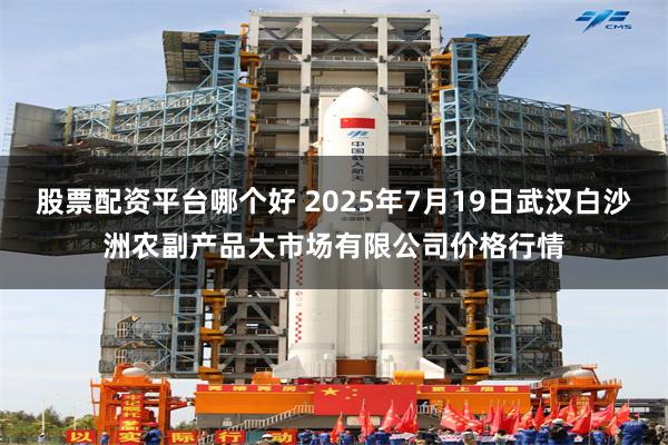 股票配资平台哪个好 2025年7月19日武汉白沙洲农副产品大市场有限公司价格行情