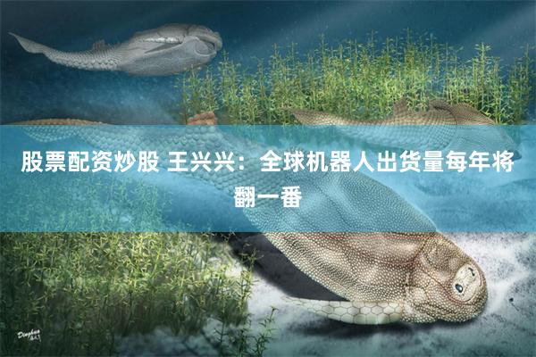股票配资炒股 王兴兴：全球机器人出货量每年将翻一番