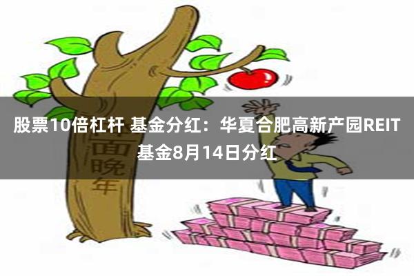 股票10倍杠杆 基金分红：华夏合肥高新产园REIT基金8月14日分红