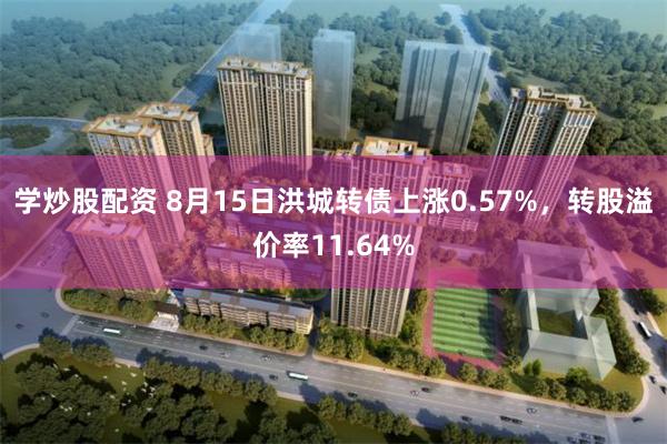 学炒股配资 8月15日洪城转债上涨0.57%，转股溢价率11.64%