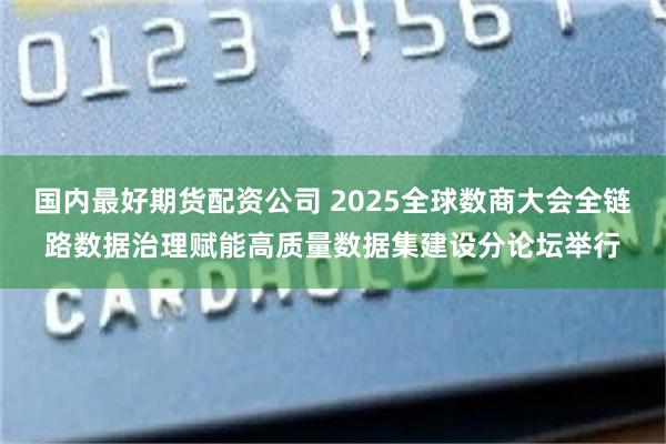 国内最好期货配资公司 2025全球数商大会全链路数据治理赋能高质量数据集建设分论坛举行
