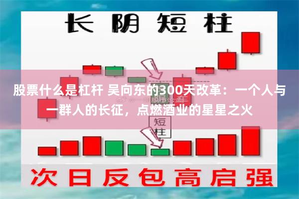 股票什么是杠杆 吴向东的300天改革：一个人与一群人的长征，点燃酒业的星星之火