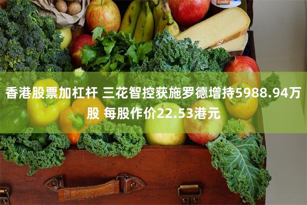香港股票加杠杆 三花智控获施罗德增持5988.94万股 每股作价22.53港元