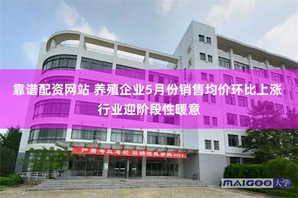 靠谱配资网站 养殖企业5月份销售均价环比上涨 行业迎阶段性暖意