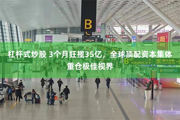 杠杆式炒股 3个月狂揽35亿，全球顶配资本集体重仓极佳视界