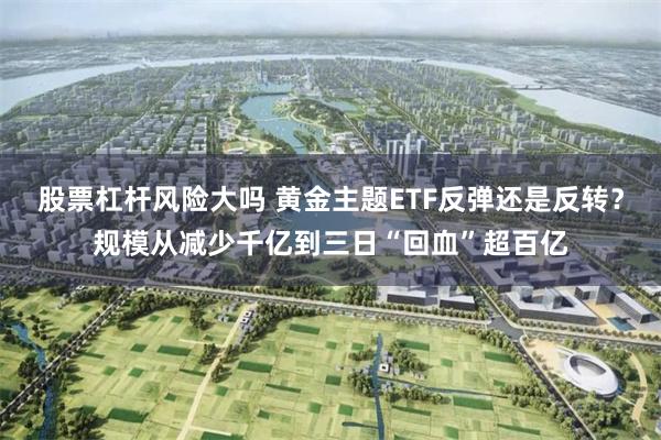 股票杠杆风险大吗 黄金主题ETF反弹还是反转?规模从减少千亿到三日“回血”超百亿
