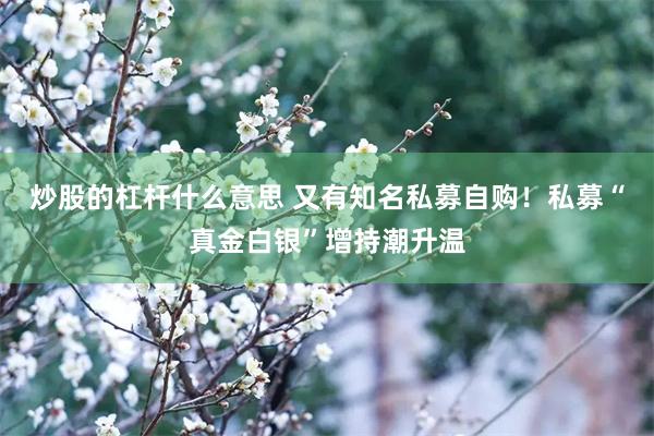 炒股的杠杆什么意思 又有知名私募自购!私募“真金白银”增持潮升温