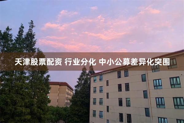 天津股票配资 行业分化 中小公募差异化突围