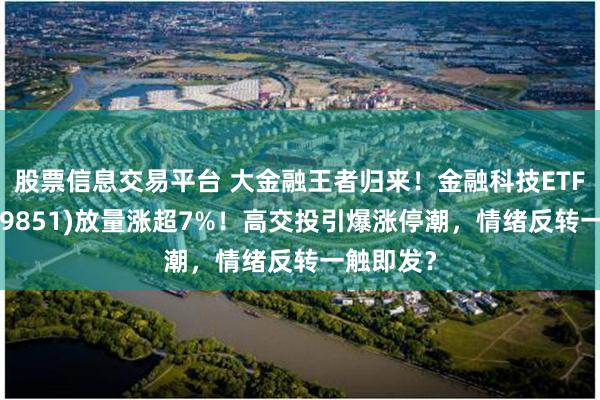 股票信息交易平台 大金融王者归来！金融科技ETF华宝(159851)放量涨超7%！高交投引爆涨停潮，情绪反转一触即发？