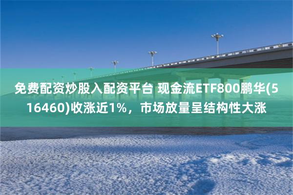 免费配资炒股入配资平台 现金流ETF800鹏华(516460)收涨近1%，市场放量呈结构性大涨