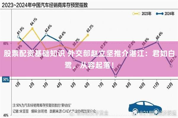 股票配资基础知识 外交部赵立坚推介湛江：君如白鹭，从容起落！