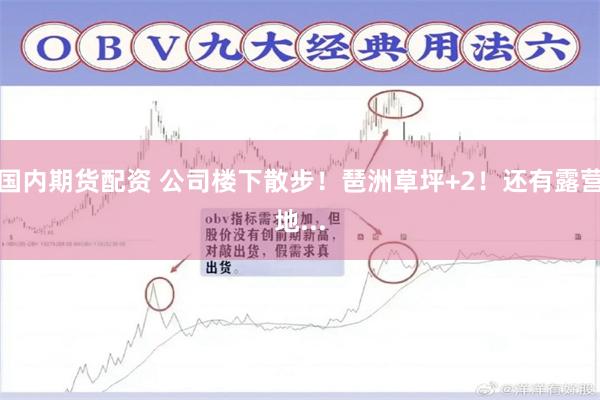国内期货配资 公司楼下散步！琶洲草坪+2！还有露营地...