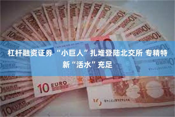 杠杆融资证券 “小巨人”扎堆登陆北交所 专精特新“活水”充足