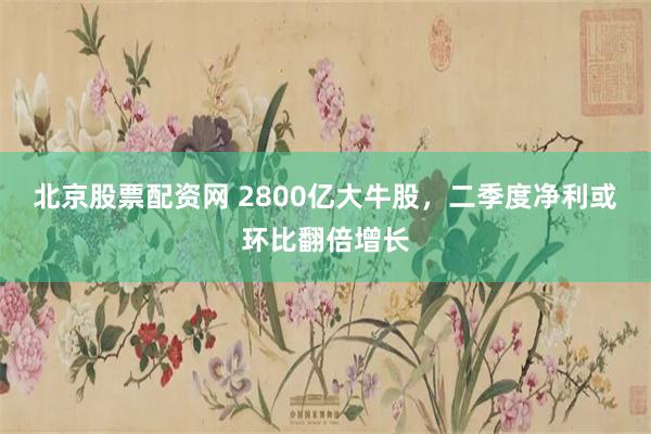 北京股票配资网 2800亿大牛股，二季度净利或环比翻倍增长