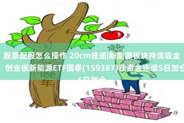 股票配股怎么操作 20cm速递|新能源板块持续吸金,创业板新能源ETF国泰(159387)获资金连续5日加仓
