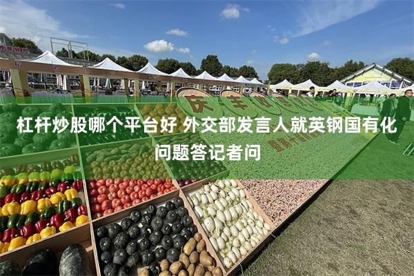 杠杆炒股哪个平台好 外交部发言人就英钢国有化问题答记者问