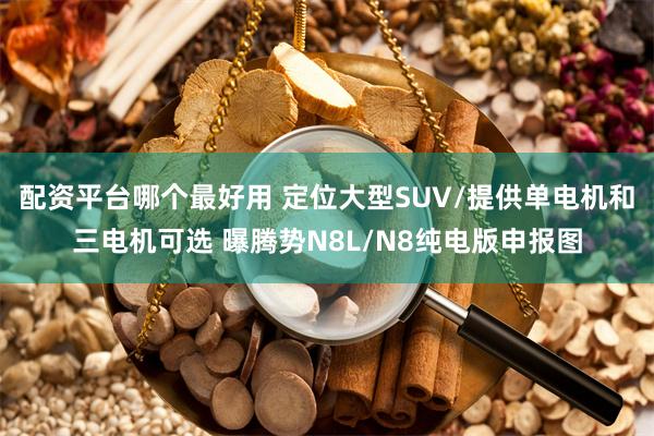 配资平台哪个最好用 定位大型SUV/提供单电机和三电机可选 曝腾势N8L/N8纯电版申报图