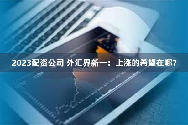 2023配资公司 外汇界新一：上涨的希望在哪？