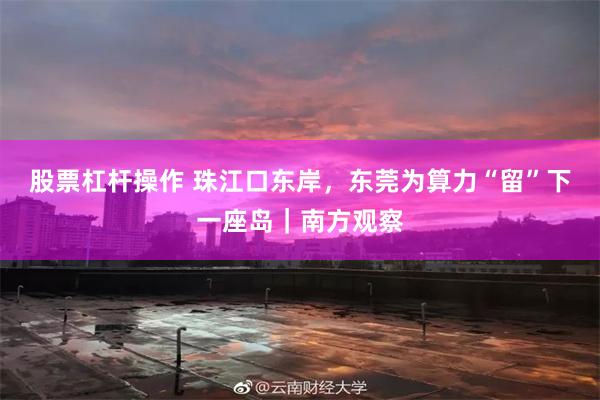 股票杠杆操作 珠江口东岸，东莞为算力“留”下一座岛｜南方观察