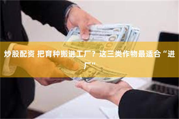 炒股配资 把育种搬进工厂?这三类作物最适合“进厂”