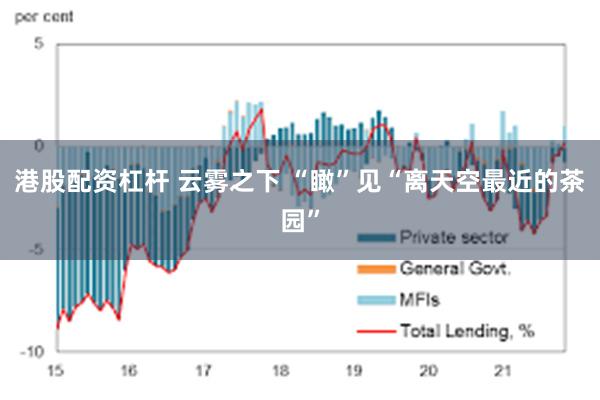 港股配资杠杆 云雾之下 “瞰”见“离天空最近的茶园”