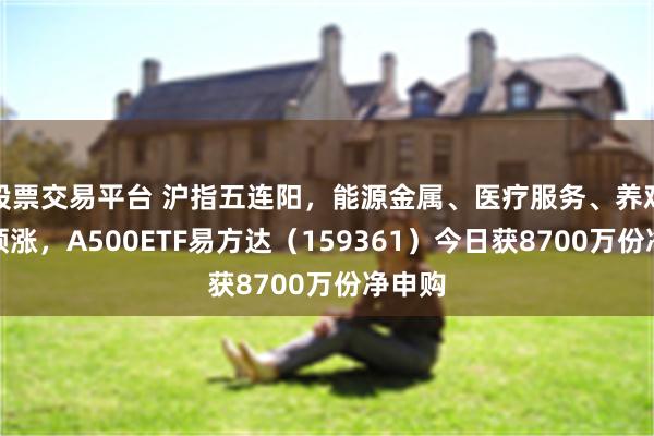 股票交易平台 沪指五连阳，能源金属、医疗服务、养鸡板块领涨，A500ETF易方达（159361）今日获8700万份净申购