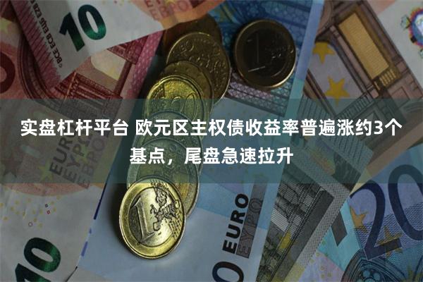 实盘杠杆平台 欧元区主权债收益率普遍涨约3个基点，尾盘急速拉升