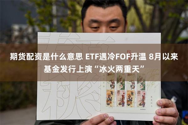 期货配资是什么意思 ETF遇冷FOF升温 8月以来基金发行上演“冰火两重天”