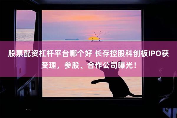 股票配资杠杆平台哪个好 长存控股科创板IPO获受理，参股、合作公司曝光！
