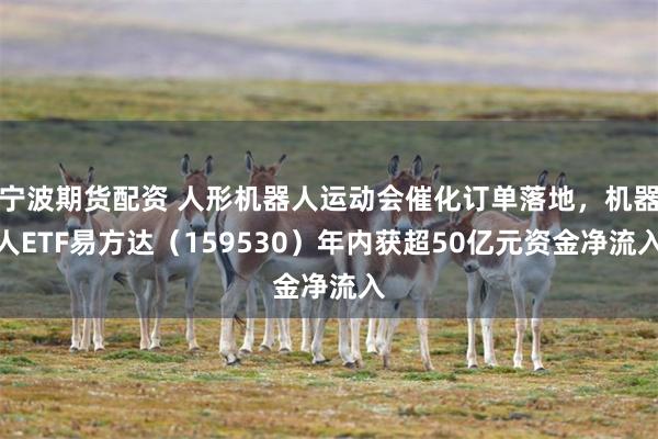 宁波期货配资 人形机器人运动会催化订单落地，机器人ETF易方达（159530）年内获超50亿元资金净流入